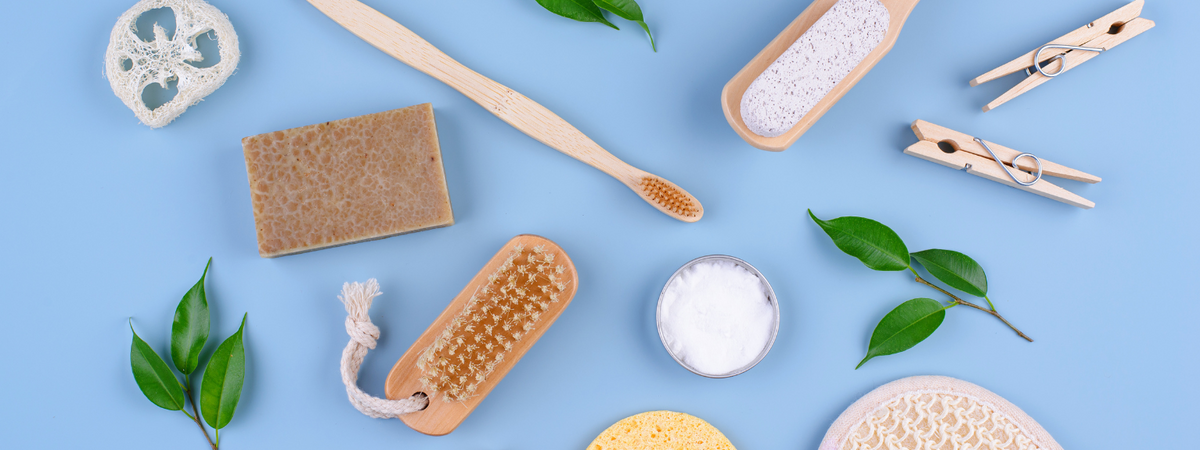 Beginner's Guide to Sustainable Living: Green Lifestyle Tips – Love.com