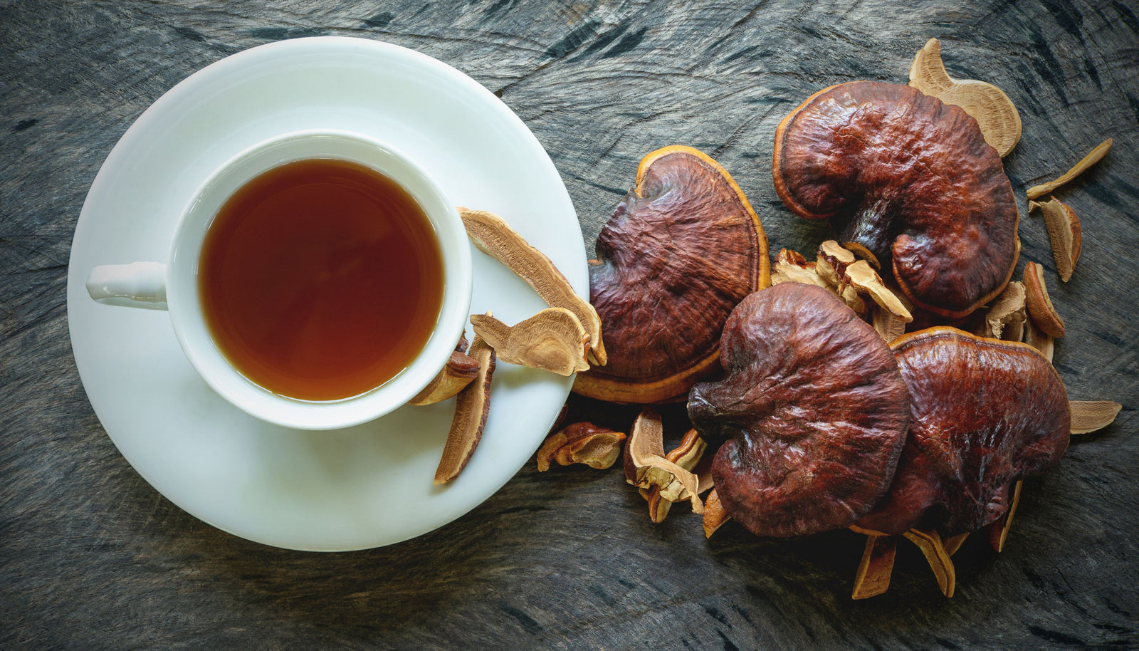 Exploring the Relaxing Benefits of Reishi Mushroom