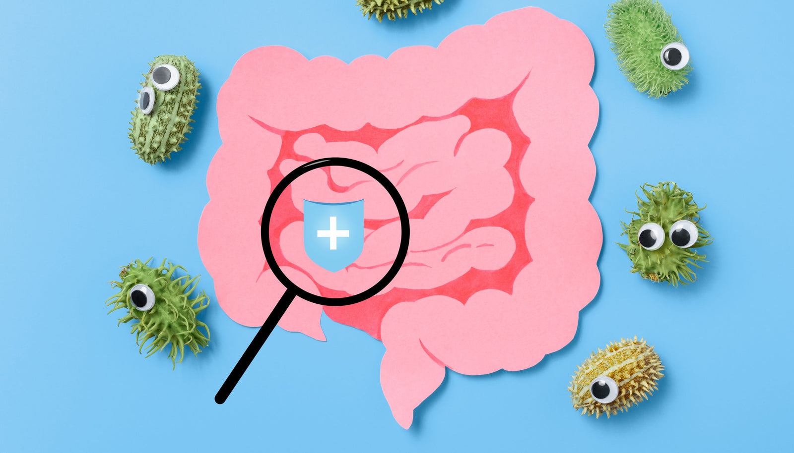 probiotic pack, gut health, vaginal health, natural solutions, vegan probiotic, gluten-free, soy-free, GMO-free