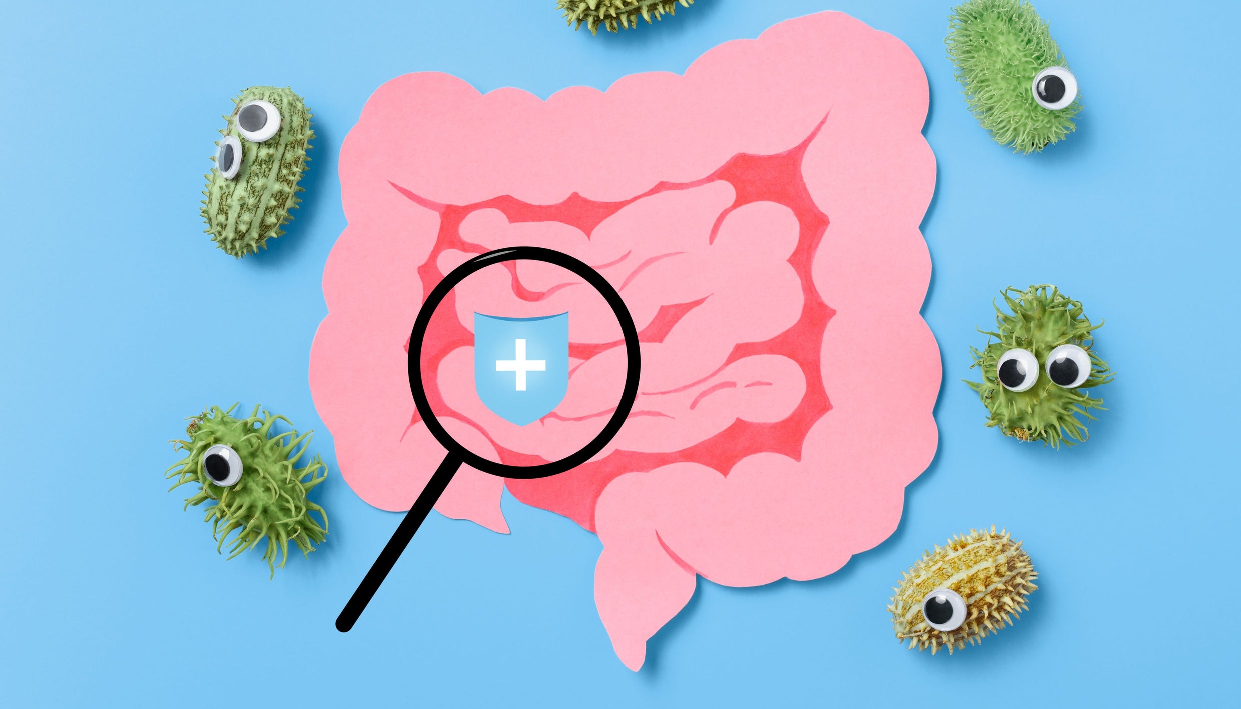 probiotic pack, gut health, vaginal health, natural solutions, vegan probiotic, gluten-free, soy-free, GMO-free