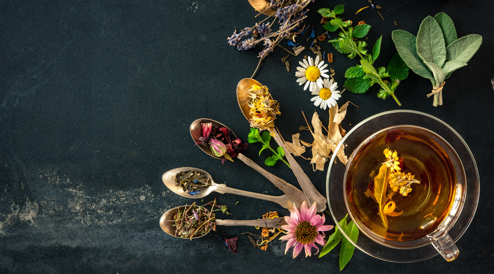 White Sage Tea Vs Chamomile Tea: A Comprehensive Comparison