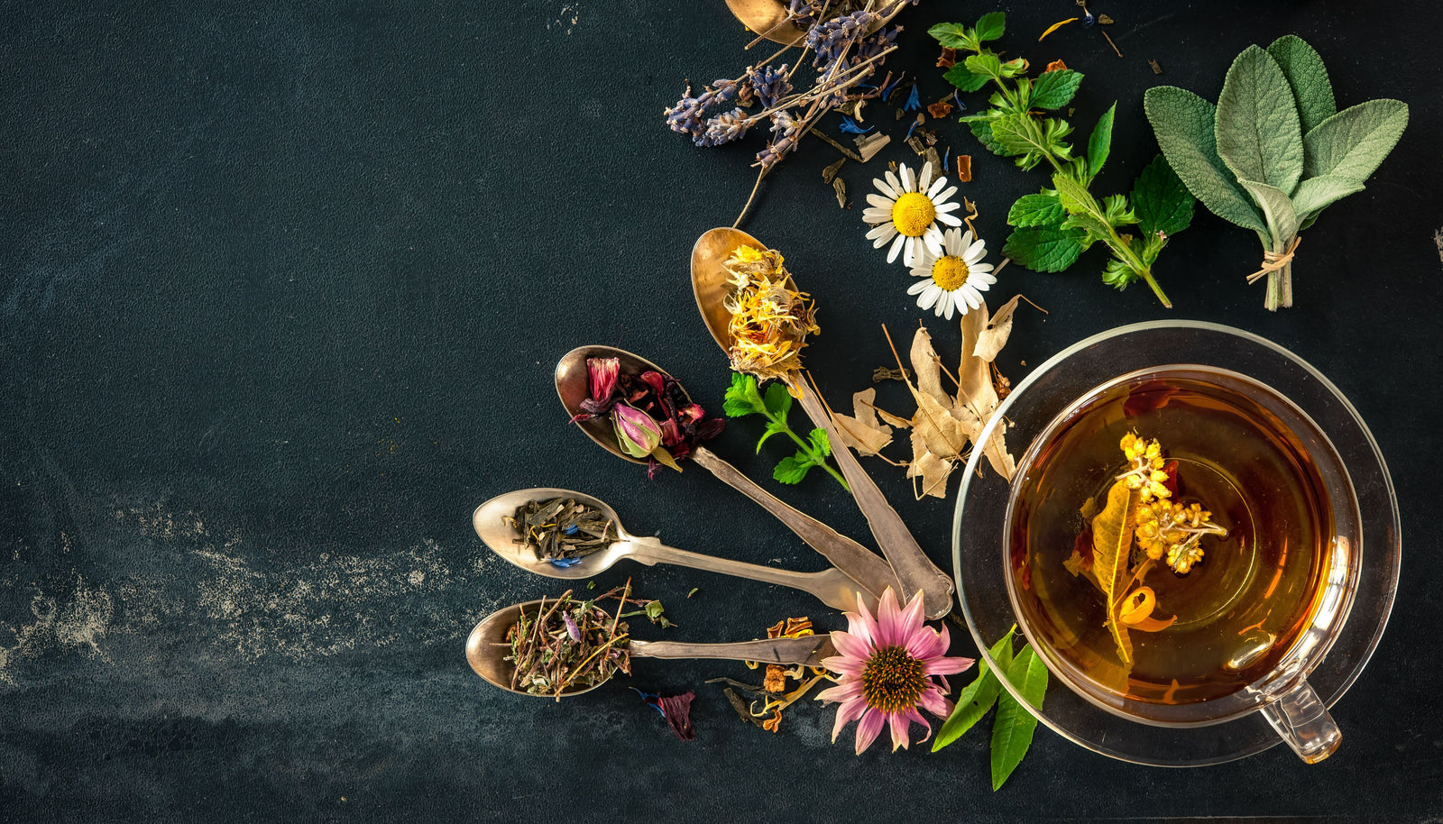 Savor the Aromas: The Captivating Scents of Tea