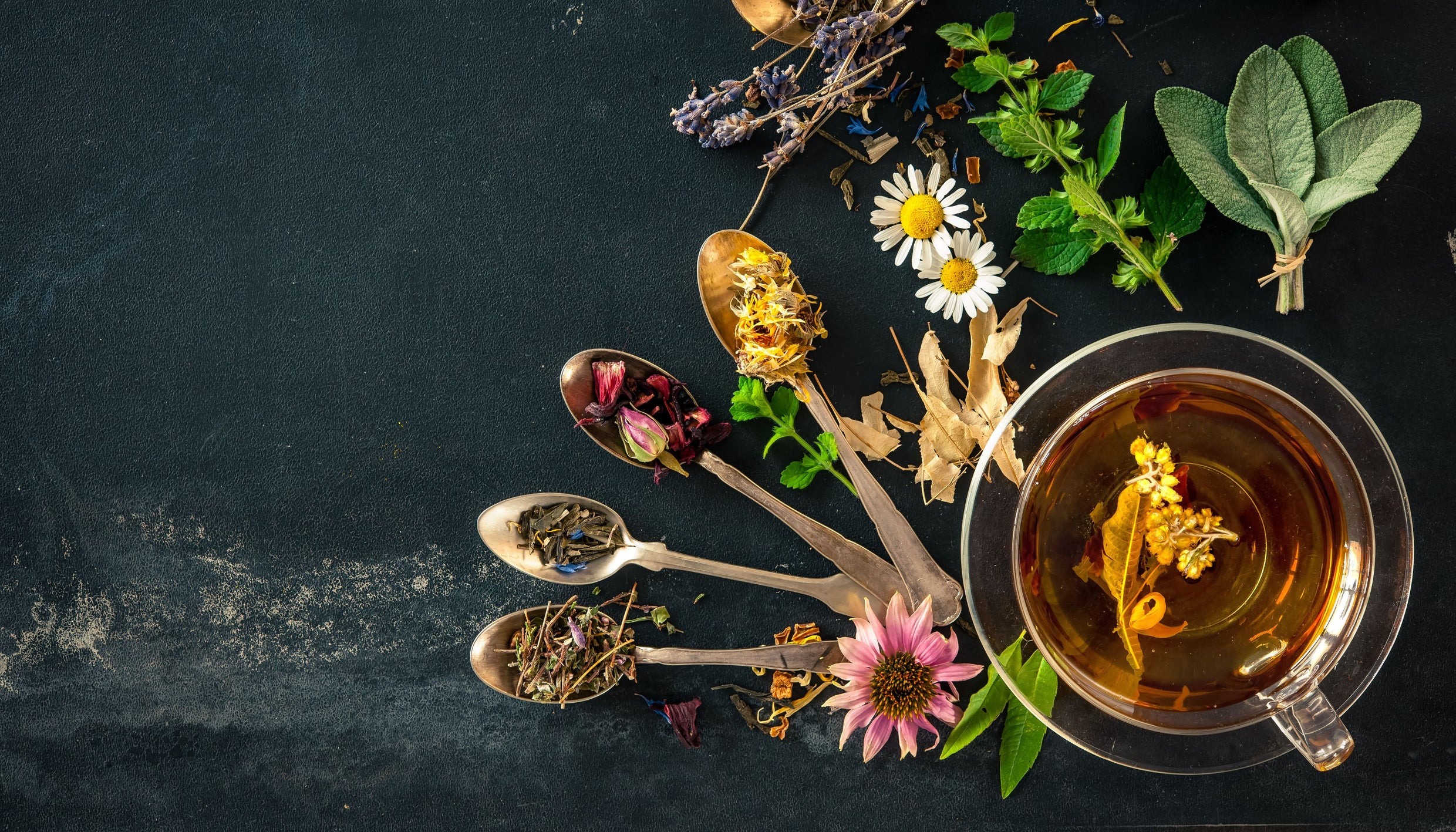 Savor the Aromas: The Captivating Scents of Tea