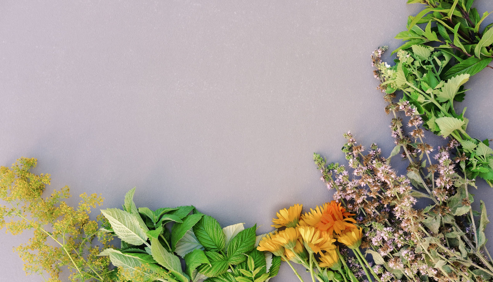 Embrace Serenity with Calming Herbal Infusions