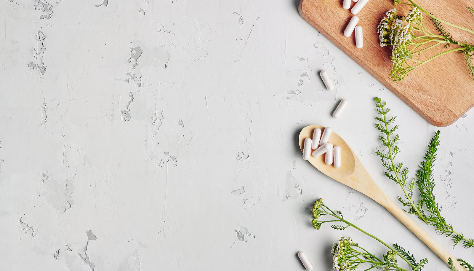 Understanding the Science of Immune Health Supplements