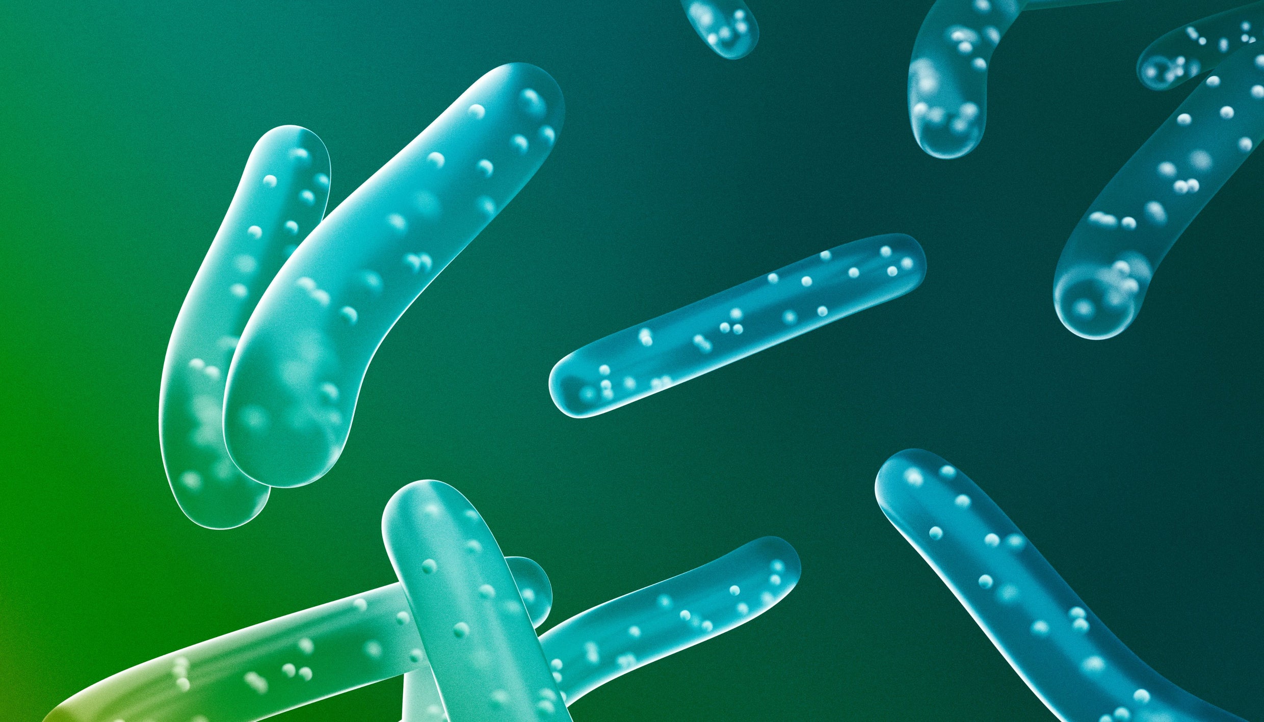 The Power of Probiotics: Restoring Gut Health for Relief from Leaky Gut