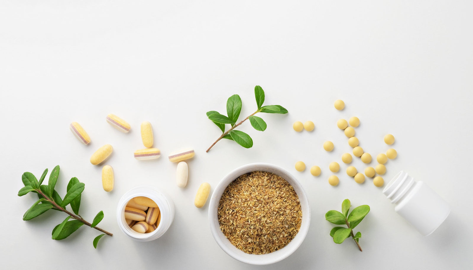 Why Choose GMO-Free Herbal Supplements for Gut Health?