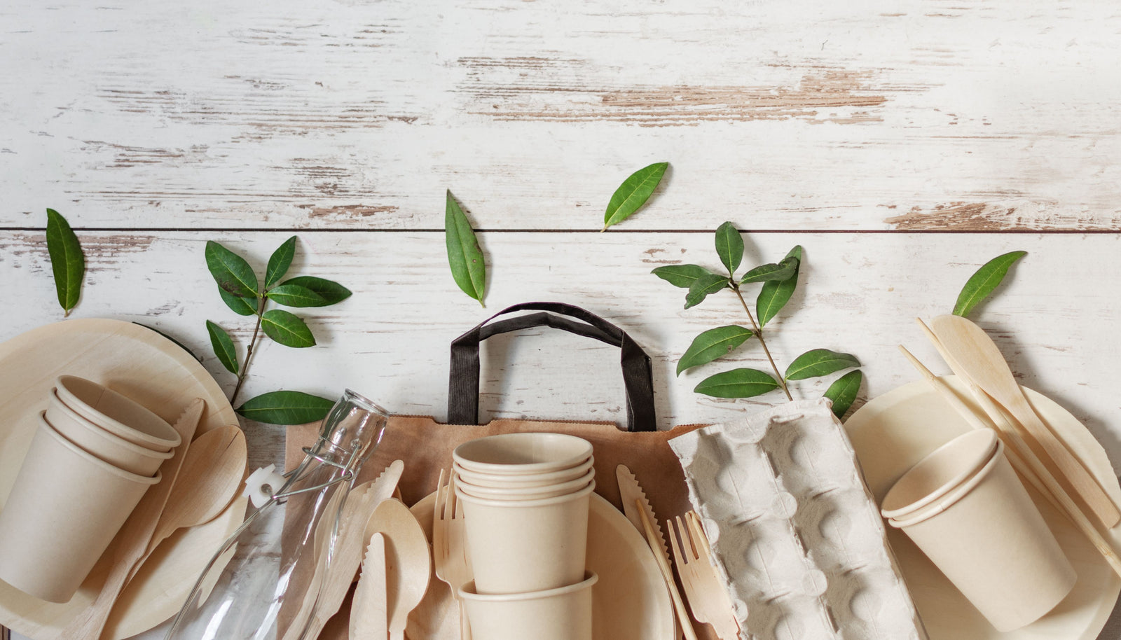 Eco-Friendly Lifestyle Products for Sustainable Living Advocates