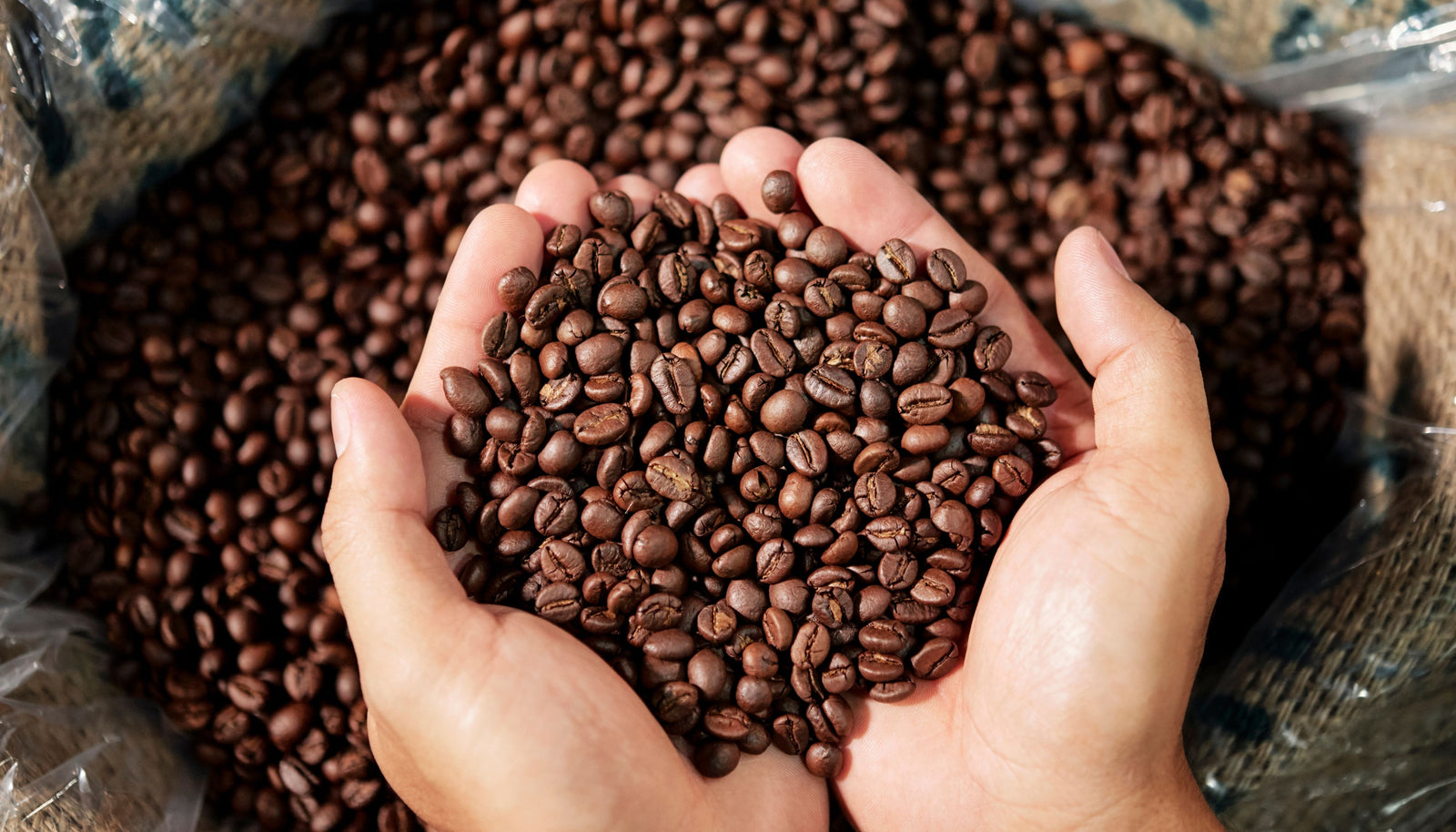 Mastering the Art of Brewing Light Roast Coffee: Step-by-Step Guide