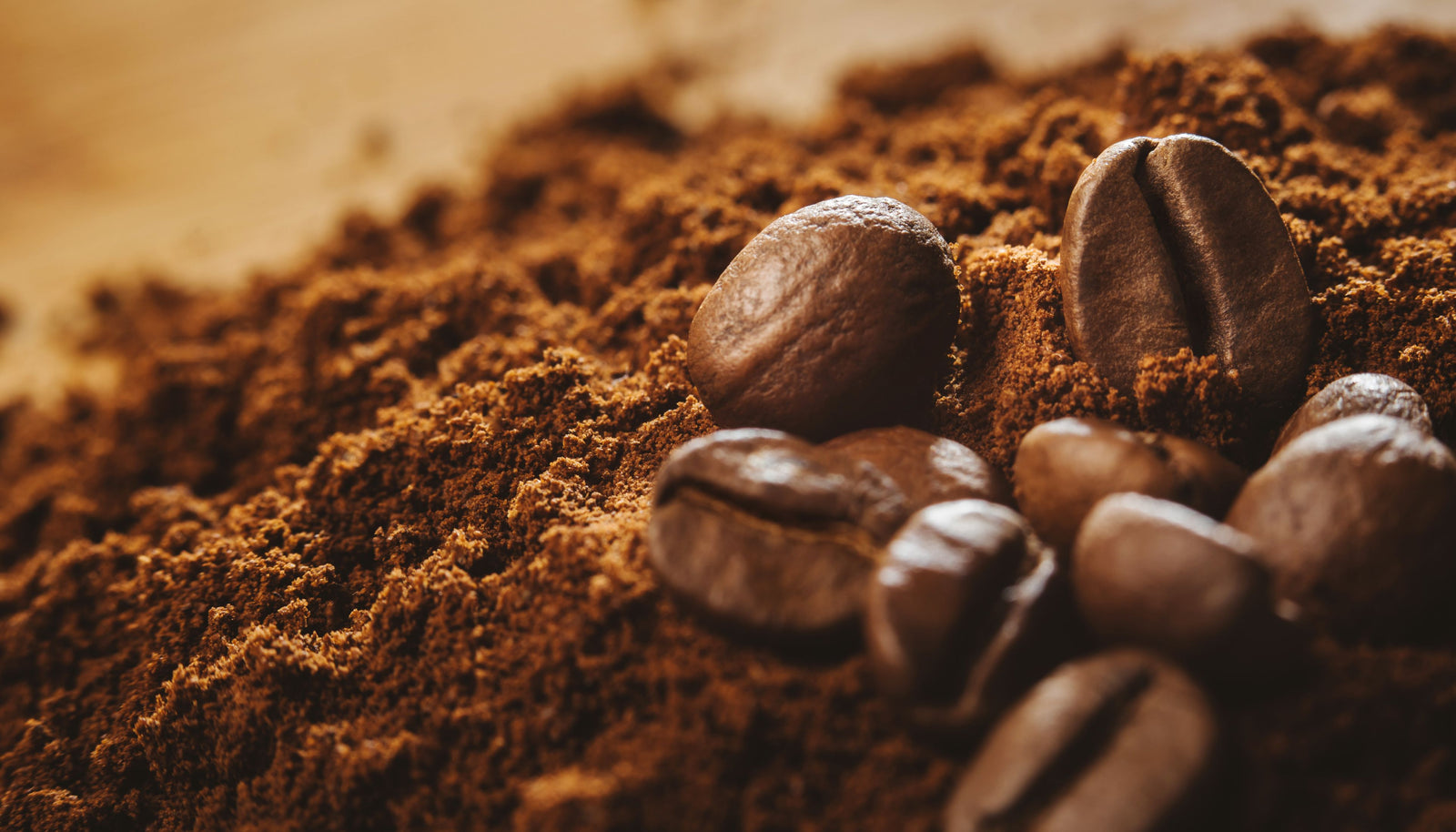 From Farm to Cup: The Story of Responsibly Sourced Coffee Beans
