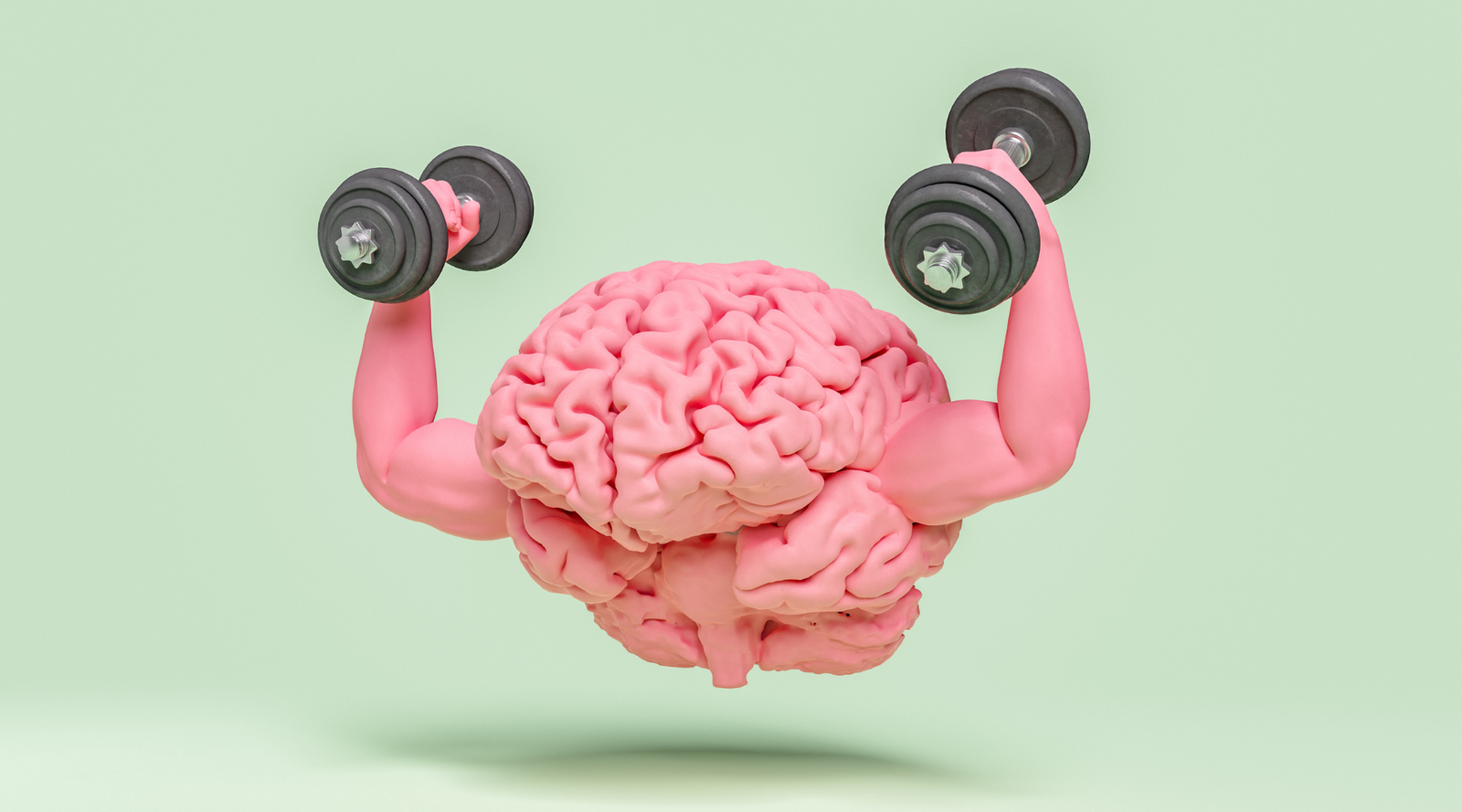 Organic Amla Powder For Brain Health