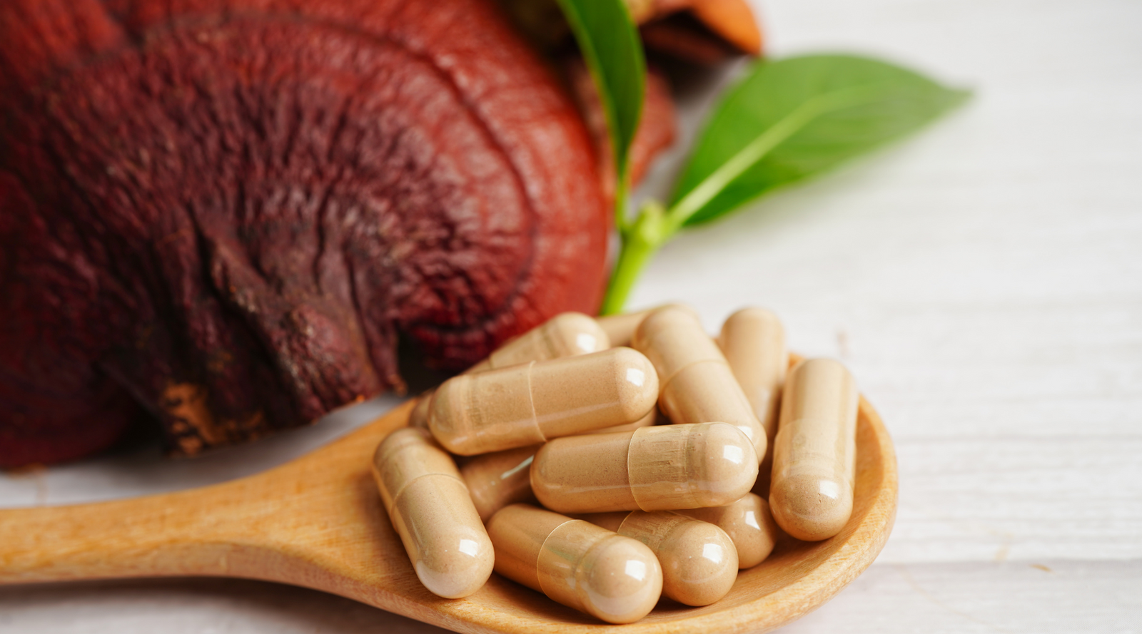 Dried Reishi Mushroom For Stress Relief
