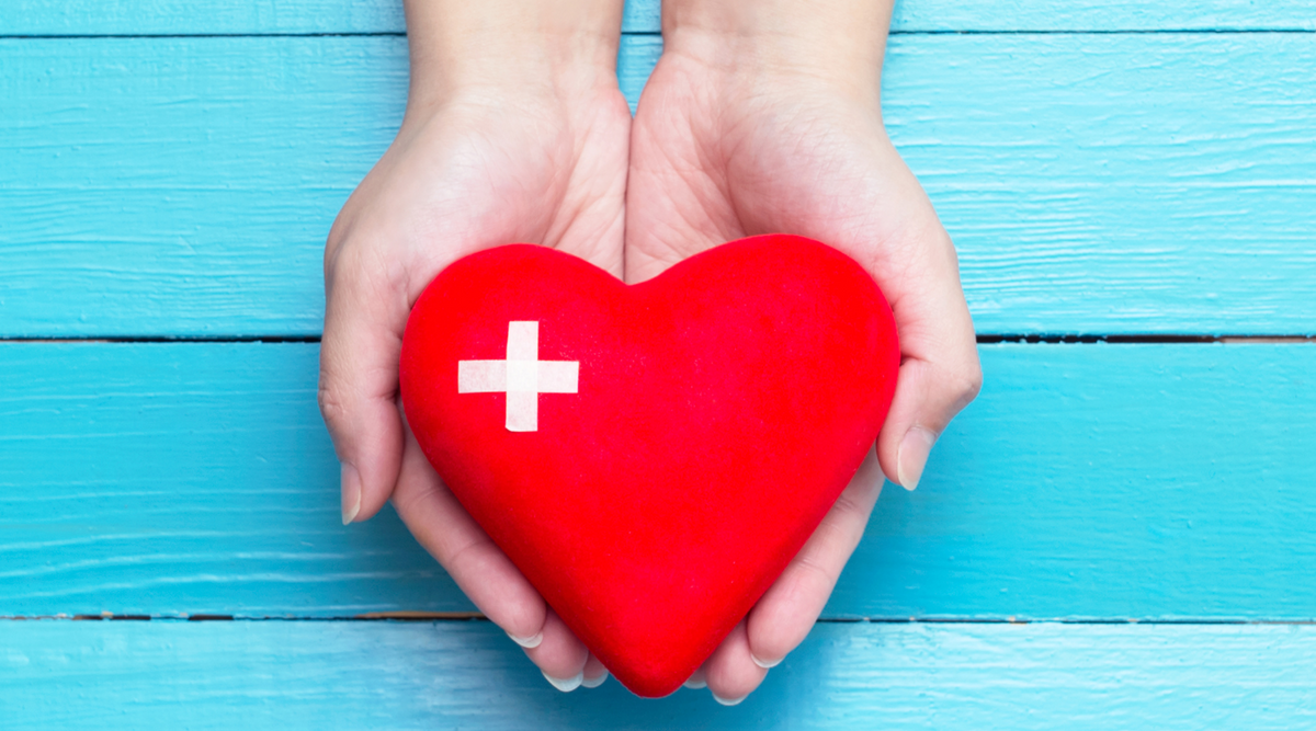 Organic Turmeric Root Vs. Powder – Love.com