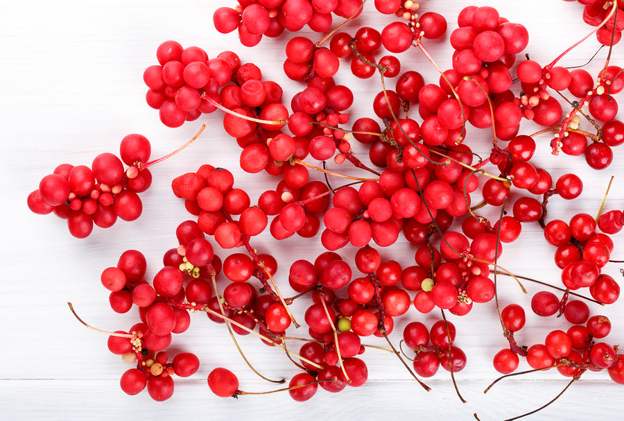 Schisandra Chinensis For Liver Health