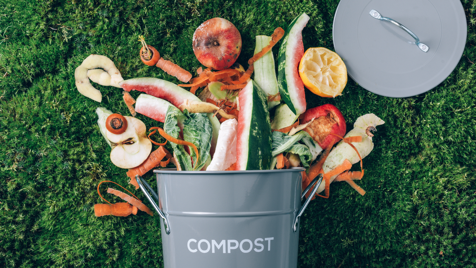 12 Surprising Non-Food Items You Can Compost