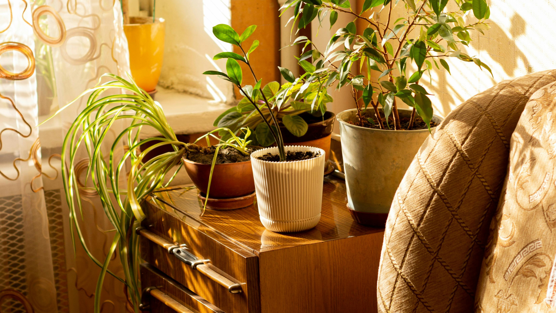 10 Climate-Friendly Home Upgrades That Save Money and Reduce Waste