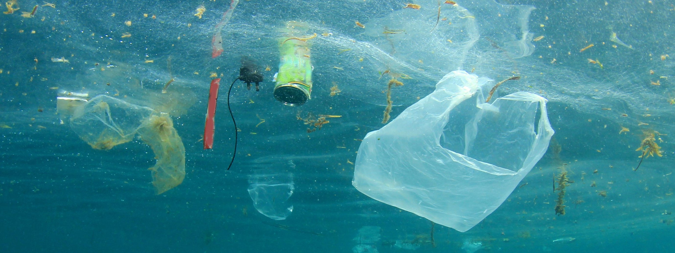 The Impact of Plastic Pollution on Our Oceans: What You Can Do to Help