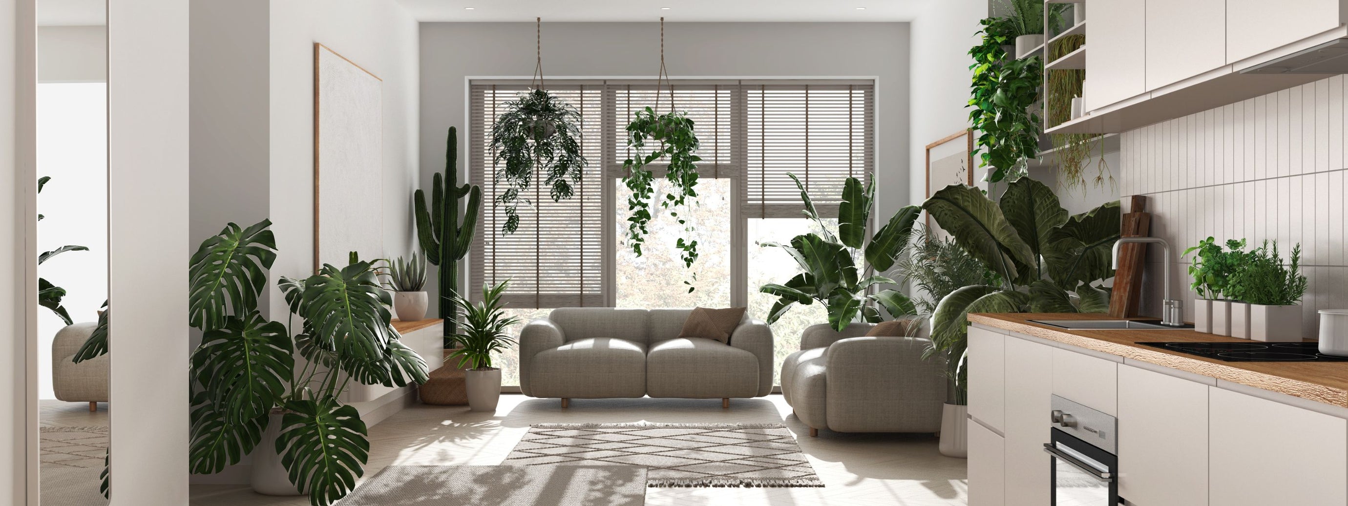 Low Light Plants for City Dwellers: Bringing the Outdoors In