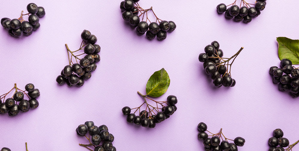 Aronia Berries: The Unsung Superfood You Need to Know About