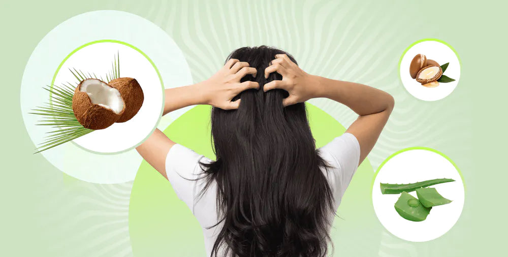 Organic Amla Powder For Hormonal Balance