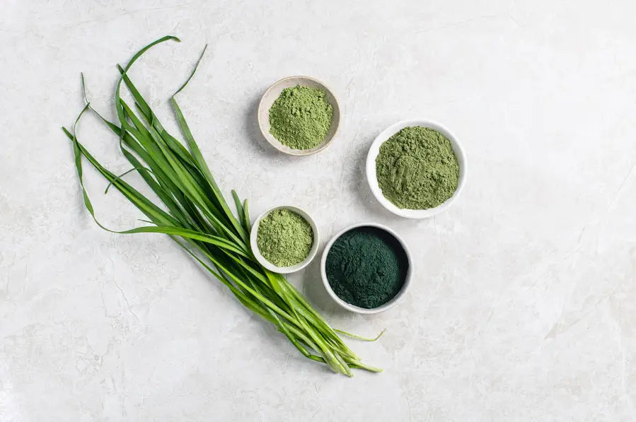 How to Make Greens Powder Taste Good in Pasta Sauces