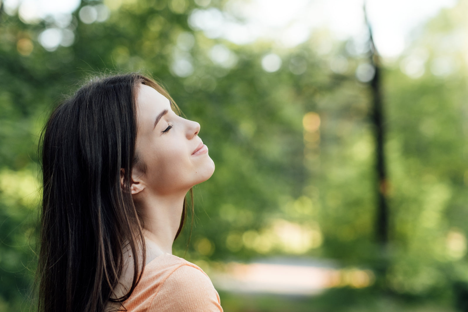 Blog Image for Aloe Vera Benefits