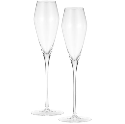 Berkware Curved Champagne Glass, Set of 6