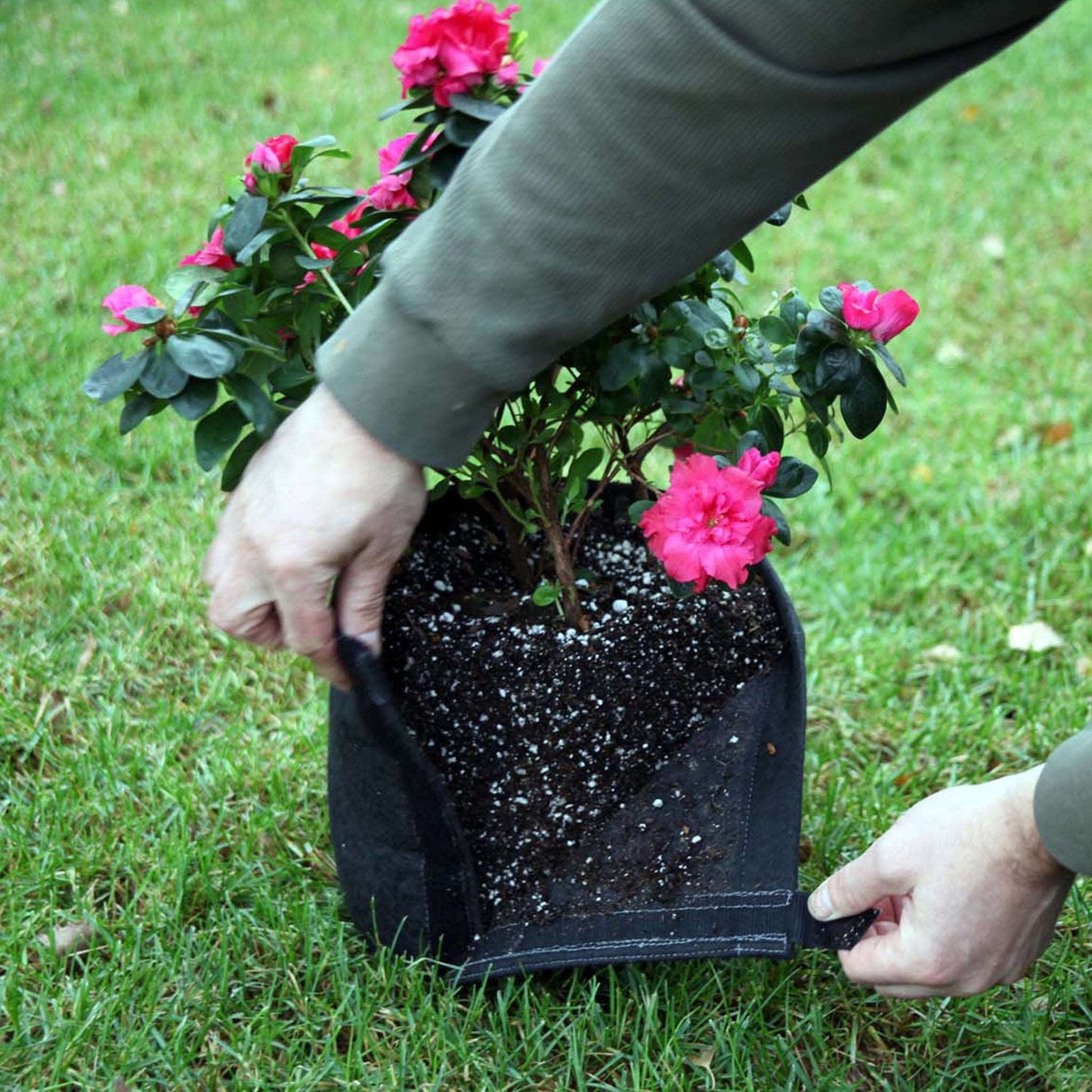 GeoPot Fabric Pot with Velcro - Black by Geopot