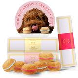 Dog Macaron Club - 6 Months Gift Subscription