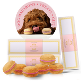 Dog Macaron Club - 6 Months Gift Subscription