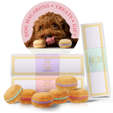 Dog Macaron Club - 6 Months Gift Subscription