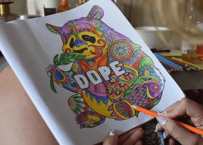 Mood Enhancing Coloring Book Vol 1