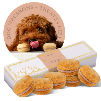 Dog Macarons (Box of 6)