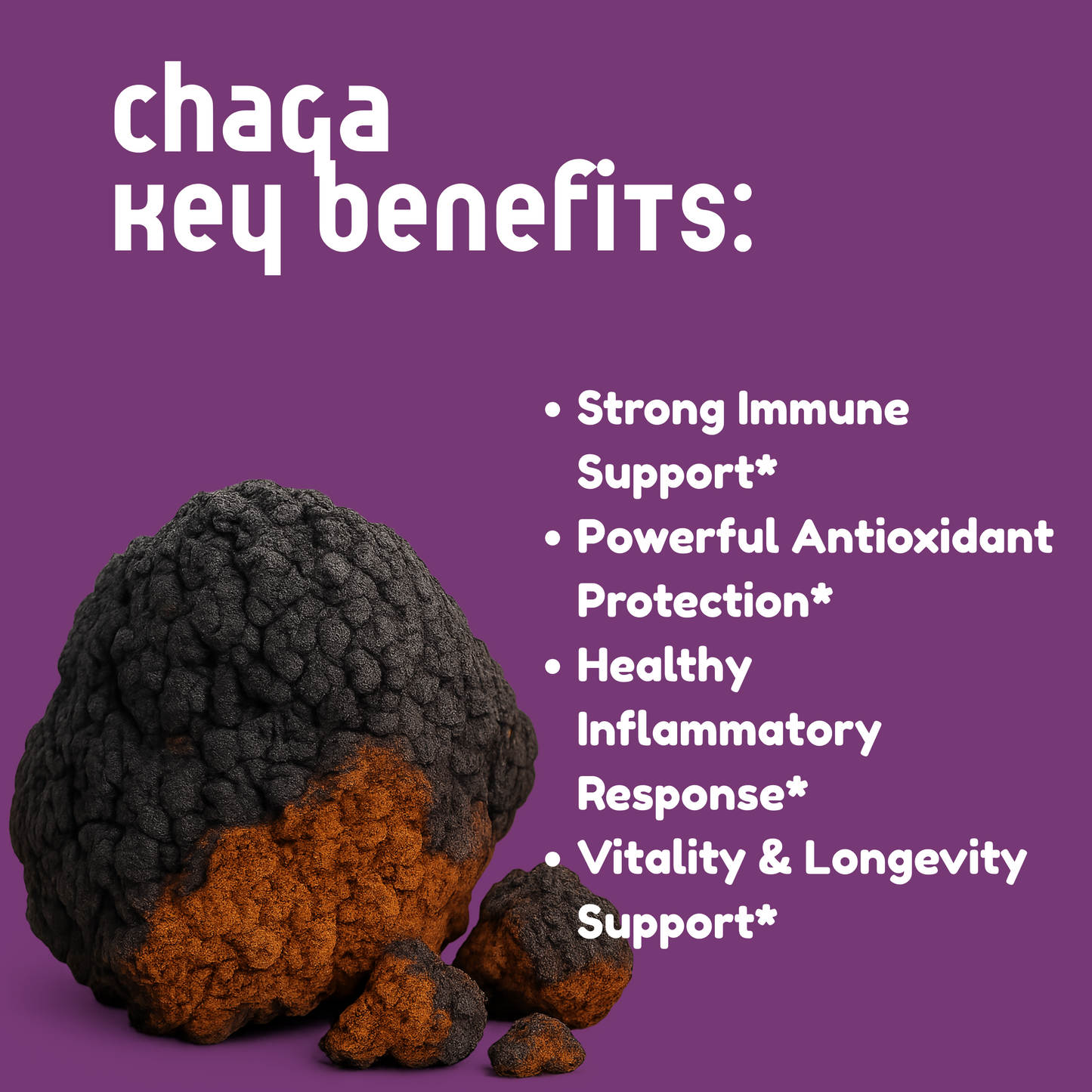 Chaga Mushroom Tincture
