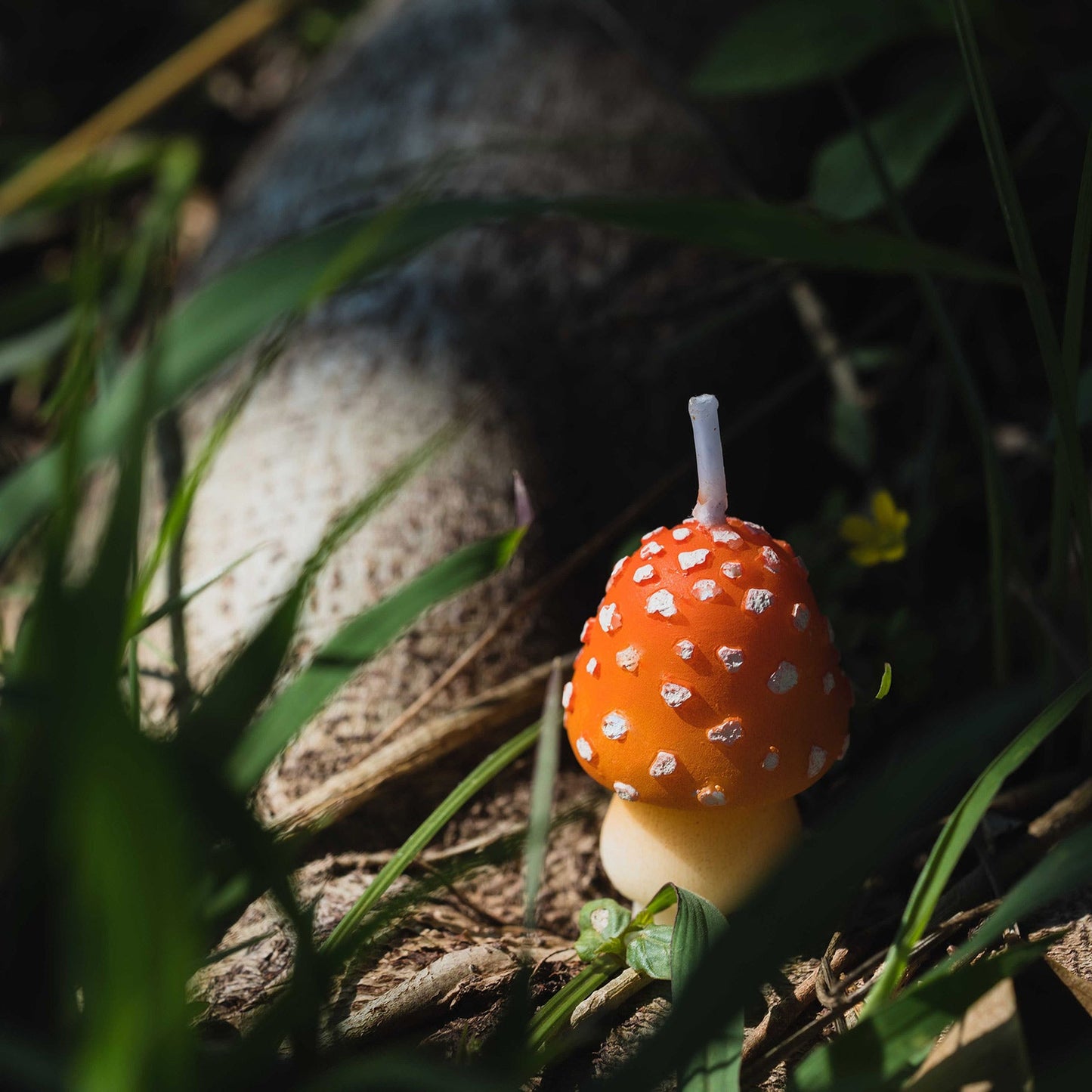 Mini Mushroom Candle Set