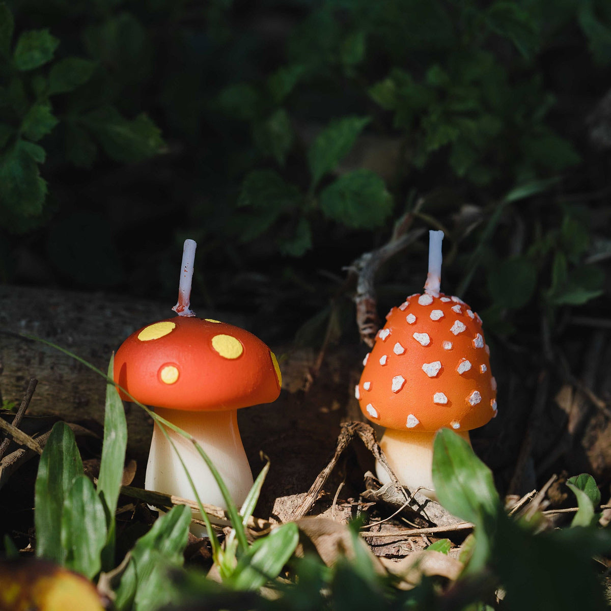 Mini Mushroom Candle Set