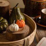 iLikePar Autumn Pumpkin Candles