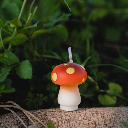 Mini Mushroom Candle Set