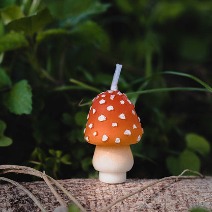 Mini Mushroom Candle Set