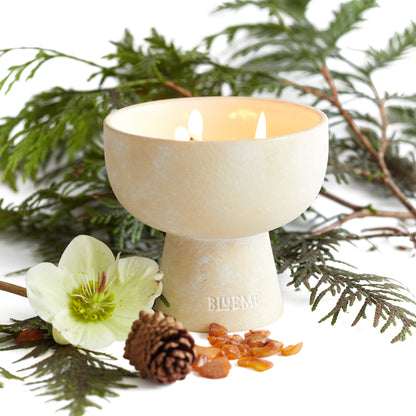 Festive - Ceramic Refillable Candle - Noble Fir & Amber