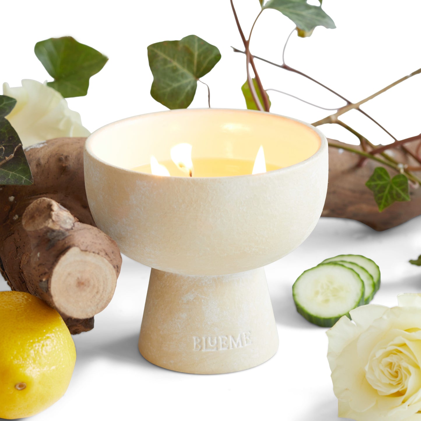 Renew - Ceramic Refillable Candle - Ivy & Rose