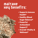 Maitake Mushroom Tincture