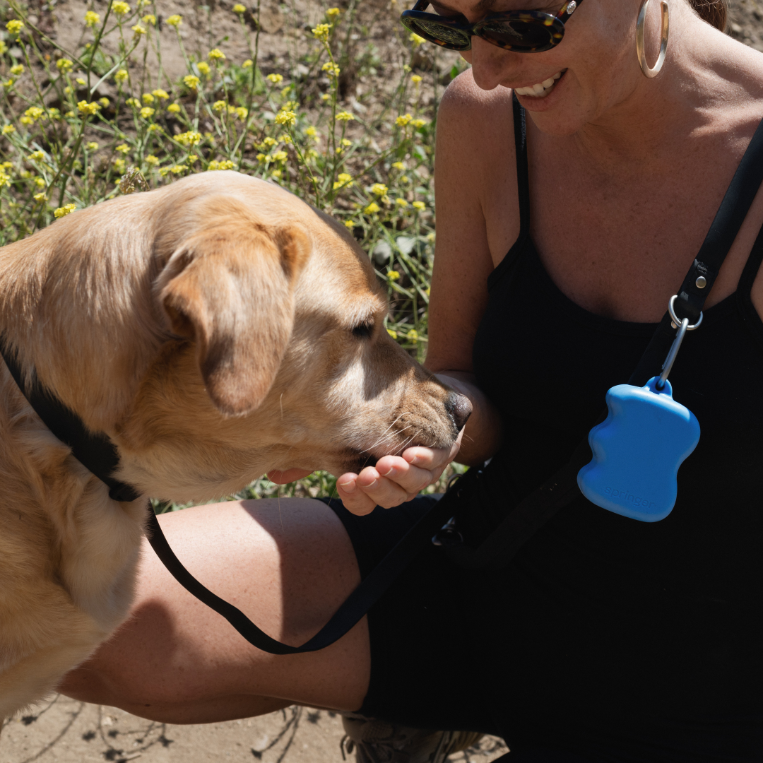 Silicone Dog Treat Dispenser