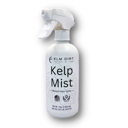 Kelp Mist by Elm Dirt