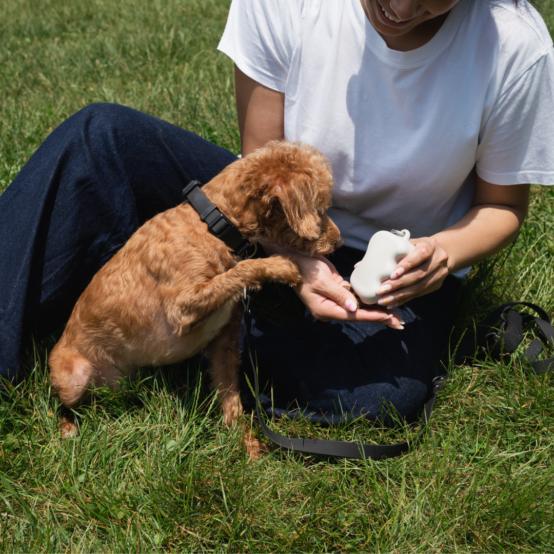 Silicone Dog Treat Dispenser