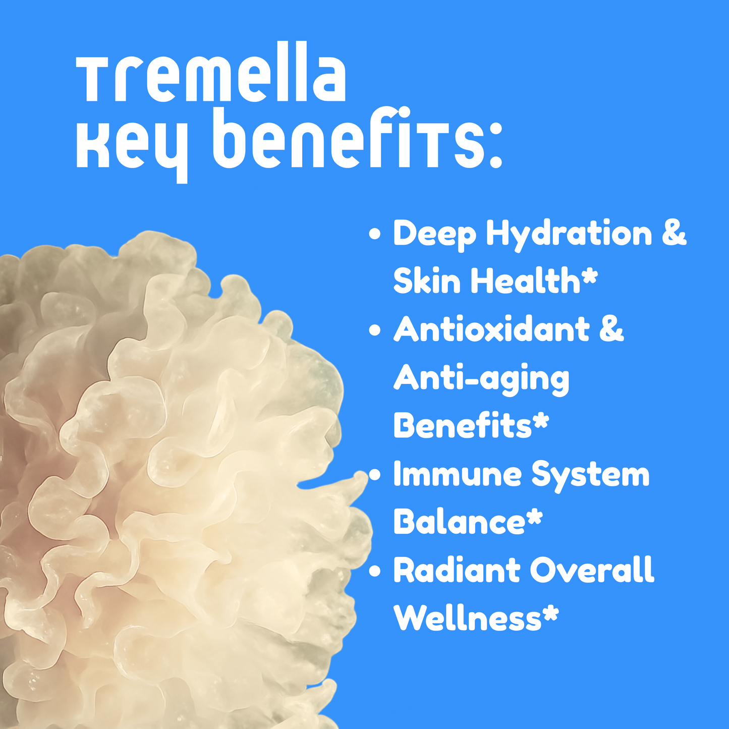 Tremella Mushroom Tincture