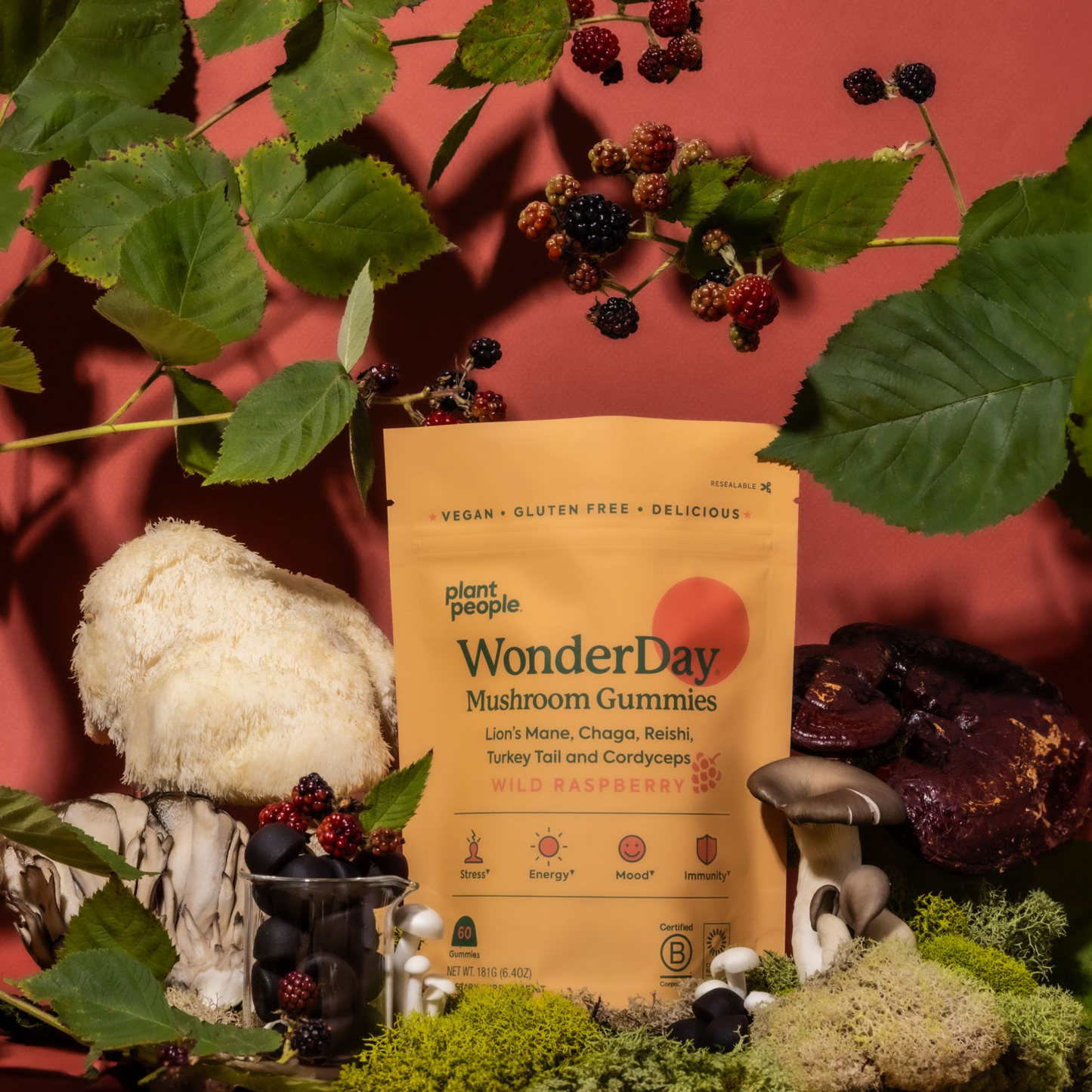 WonderDay Mushroom Gummies