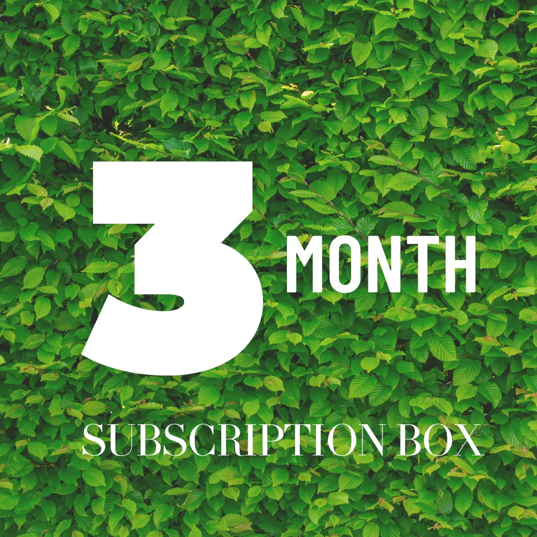 3 Month Subscription Candle Club