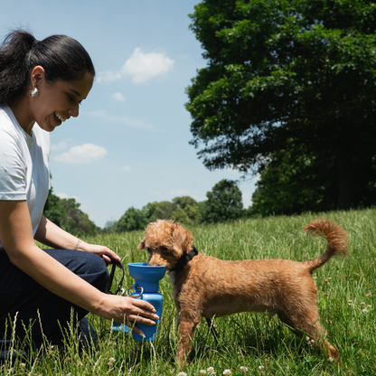 Flip Dog Travel Bottle