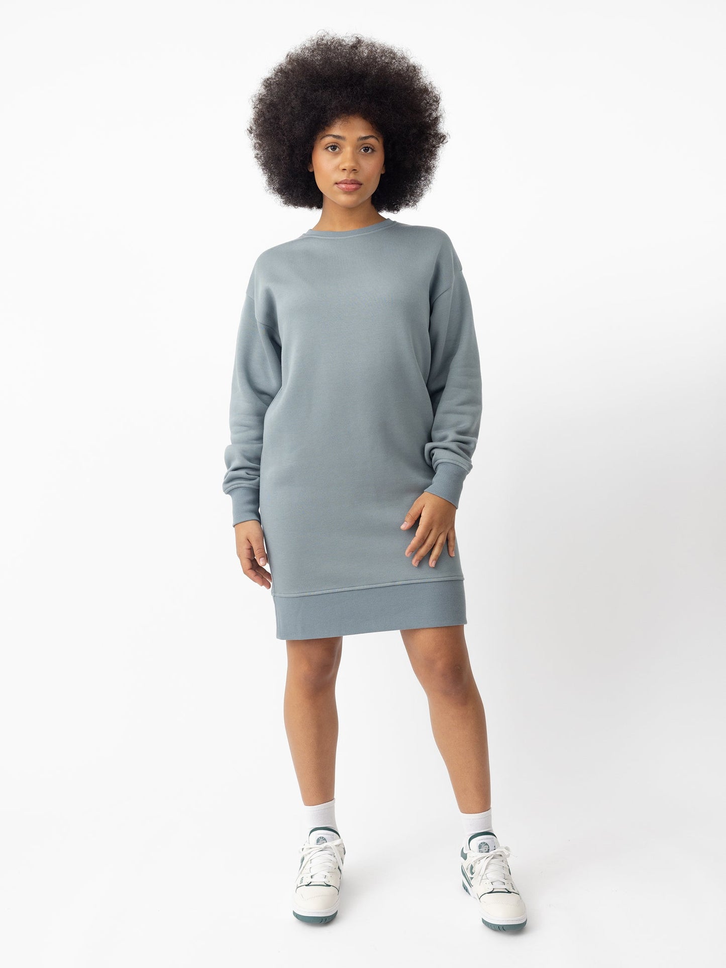 Women's CityScape Crewneck Dress